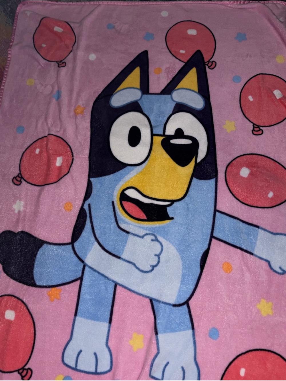 Kids Bluey Blanket
